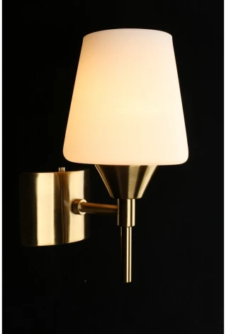 Бра Aployt Lyus APL.840.01.01 (220V)