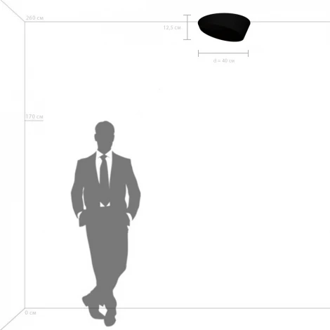 Потолочный светильник круглый светодиодный Lightstar Celesta 809456 (220V, круглые)