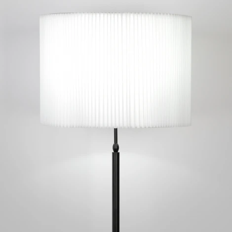 Торшер с выключателем Eurosvet Notturno 01163/1 черный (220V)