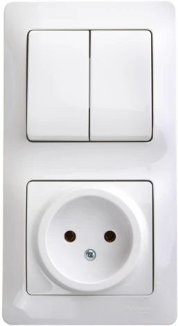 Розетка встраиваемая без заземления с двухклавишным выключателем (белый) Systeme Electric GSL000172