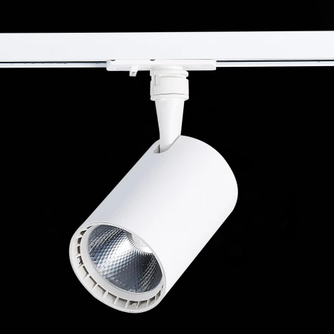 Трековый светильник ST Luce Cami ST351.546.20.36 (LED, 220V, круглые, IP22)