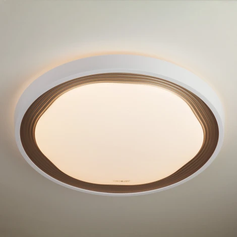 Потолочный светильник Elektrostandard Range 40006/1 LED кофе