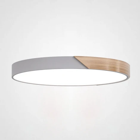 Потолочный светильник круглый Clip Grey D50 ImperiumLoft Clip01 (193053-26) (LED, 220V, круглые)