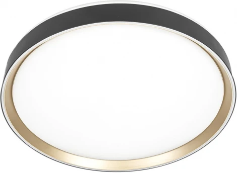 Потолочный светильник RGB круглый светодиодный с пультом Citilux Boss CL751451G (220V, круглые)