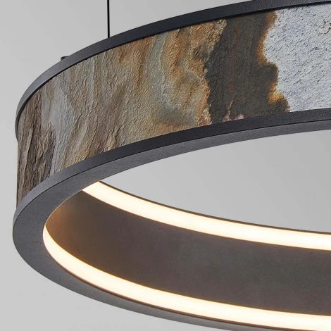 Подвесная люстра Favourite Lago 4598-1P (LED, 220V, на тросе, круглые)