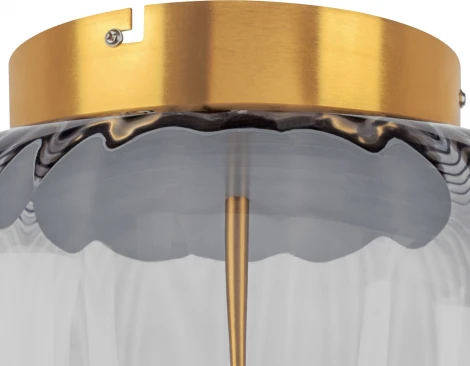 Потолочный светильник круглый светодиодный Lightstar Celesta 809061 (220V, круглые)