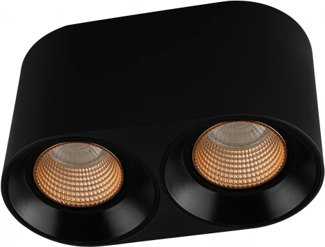 Накладной точечный светильник Denkirs DK3040 DK3096-BK+BR (220V, круглые)