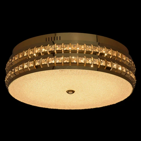Потолочный светильник MW-Light Ривз 674013601