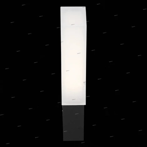 Настенный светильник уличный ST Luce Posto SL096.411.02 (LED, 220V, факел, IP54)