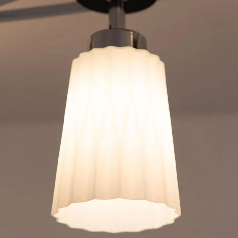 Потолочная люстра Citilux Димона CL148141