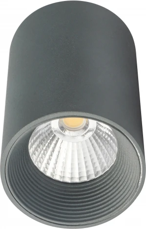 Точечный накладной светильник Escada 20003 20003SMU/01LED SGY