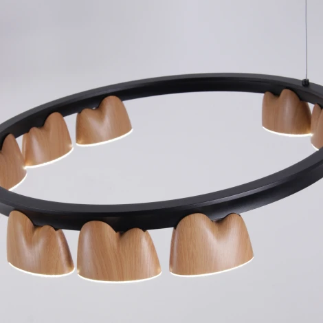 Подвесной светильник Favourite Interline 4266-21P (LED, 220V, на тросе)