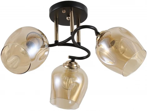 Потолочная люстра на штанге Rivoli Fernanda 9132-303