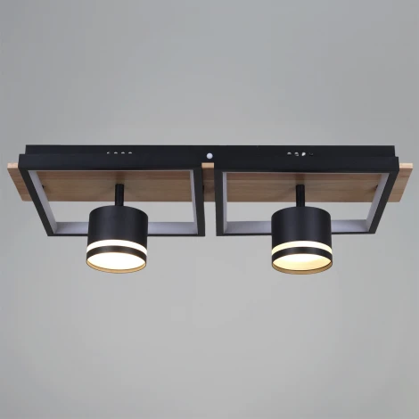 Потолочная люстра с пультом с регулировкой цветовой температуры, яркости и ночным режимом Reluce 19560-0.3-2+2 BK+WOOD