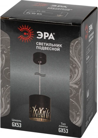 Подвесной светильник ЭРА PL30 BK (220V, на проводе)