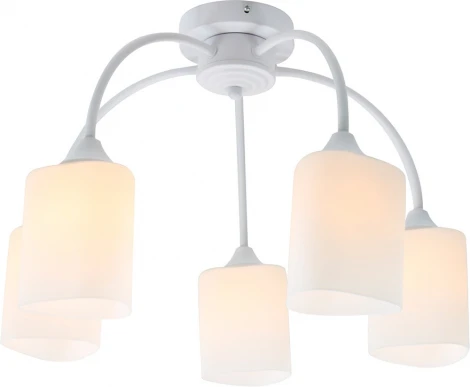 Потолочная люстра Escada Ipomea 2102/5P 5x60Вт E27, металл/стекло, белый, матовый плафон (220V)