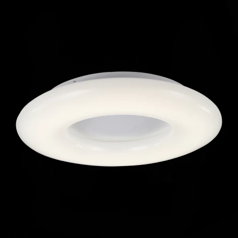 Потолочный светильник ST Luce Albo SL902.572.01D