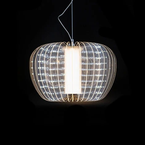 Подвесной светильник L'Arte Luce Mercury L42502.98