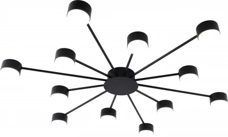 Потолочная люстра Rivoli Leona 3184-312 12хGX53 15 Вт