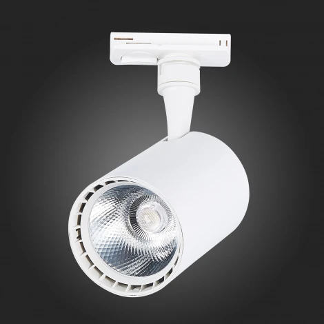 Трековый светильник ST Luce Cami ST351.536.20.24 (LED, 220V, круглые, IP22)