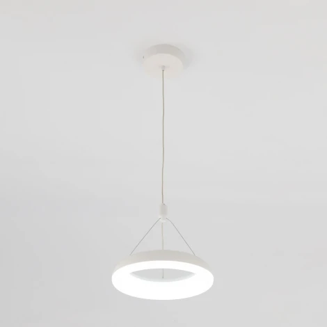 Подвесной светильник Citilux Паркер CL225B110 (LED, 220V, на тросе, кольцо)