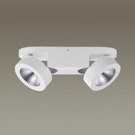 Спот Odeon Light Laconis 3538/2LC