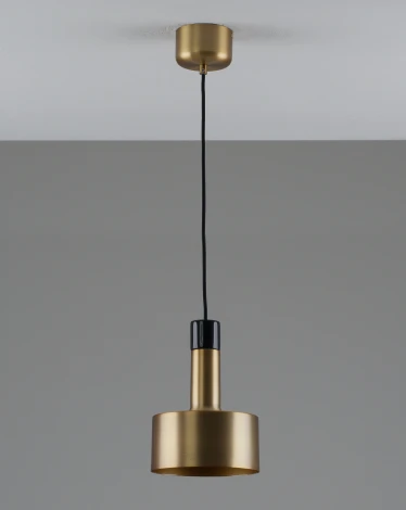 Подвесной светильник Moderli Goldy V11317-1P (220V, на проводе)