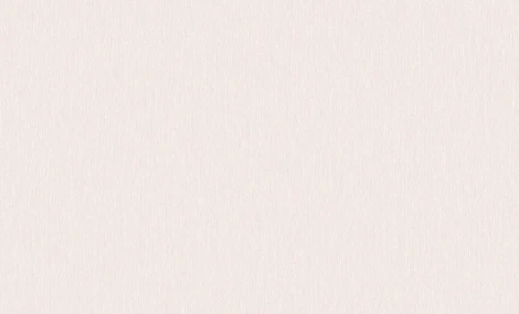 Обои виниловые Erismann Paradise 6 60110-03 10,05 x 1,06 м