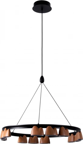 Подвесной светильник Favourite Interline 4266-12P (LED, 220V, на тросе)