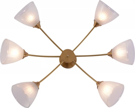 Потолочная люстра на штанге Rivoli Debra 9189-306 6хЕ27 60 Вт