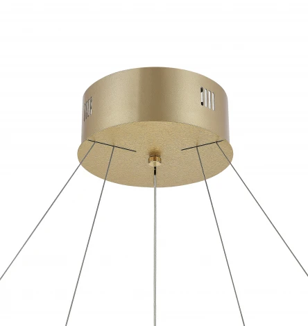 Подвесной светильник LED MyFar Willem MR2541-2PL кольцо