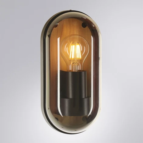 Настенный уличный светильник Arte Lamp A2481AL-1BR (220V, IP65)