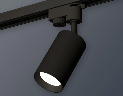 Трековый светильник Ambrella Track System XT6323002 (круглые)