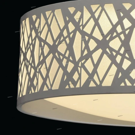 Потолочный светильник DeMarkt Ривз 674012501