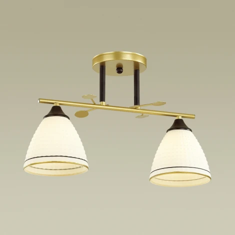 Потолочная люстра Lumion Becky 4544/2C