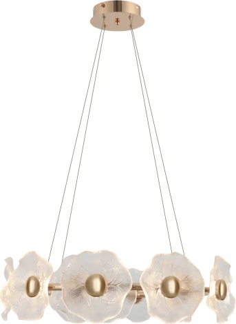 Подвесной светильник Rivoli Shannon 6135-101 (LED, 220V, на тросе, цветы)