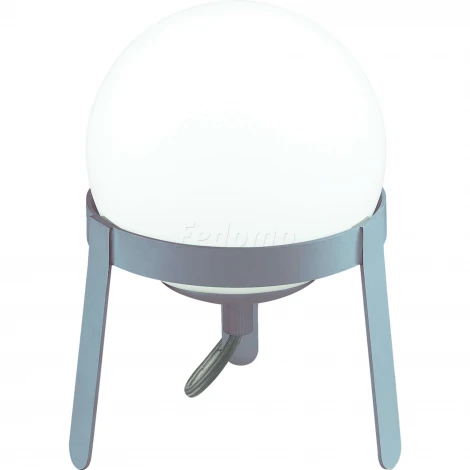 Интерьерная настольная лампа Lumion Chipo 3650/1T