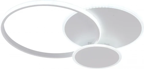 Потолочная люстра светодиодная с пультом регулировкой цветовой температуры и яркости Rivoli Melina 6139-103