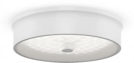 Потолочный светильник Freya Cells FR10011CL-L24W