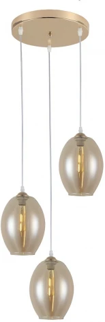 Подвесной светильник Ritter Forli 52535 6