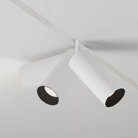Трековый светильник магнитный Exility 3000-6000K 20Вт Dim Smart Maytoni Focus LED TR032-4-20W3K-S-DS-W (48V, круглые)