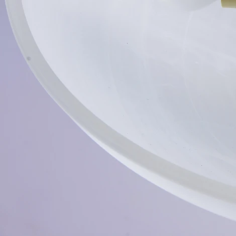 Потолочная люстра MW-Light Аида 323012603