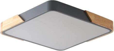 Потолочный светильник Zortes Alberro ZRS.01288.48 (LED, 220V)