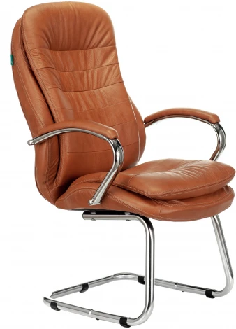 Кресло Бюрократ T-9950AV рыжий Leather Ontano кожа/кожзам полозья металл хром