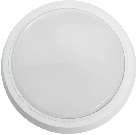 Настенно-потолочный светильник светодиодный Feron AL3020 41768 (220V, круглые)