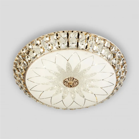 Потолочный светильник светодиодный с пультом с регулировкой цветовой температуры и яркости LED4U LED4U L1111-500 GD