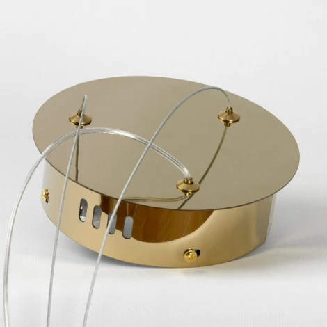 Подвесной светильник Lussole LSP-7209 (LED, 220V, на тросе, кольцо)