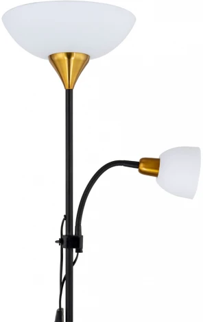 Торшер Arte Lamp Duetto A9569PN-2BK (220V, выключатель)