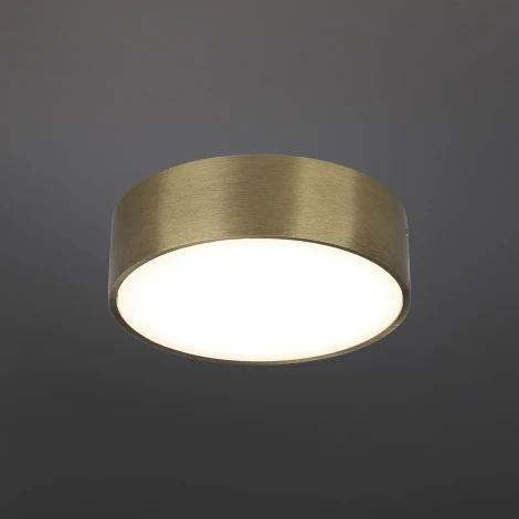 Потолочный светильник круглый Aployt Evon APL.0114.29.12 (LED, 220V, круглые)