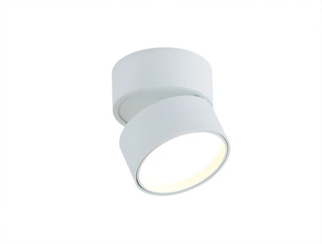 Накладной светильник Donolux Bloom DL18960R12W1W (LED, 220V, круглые)